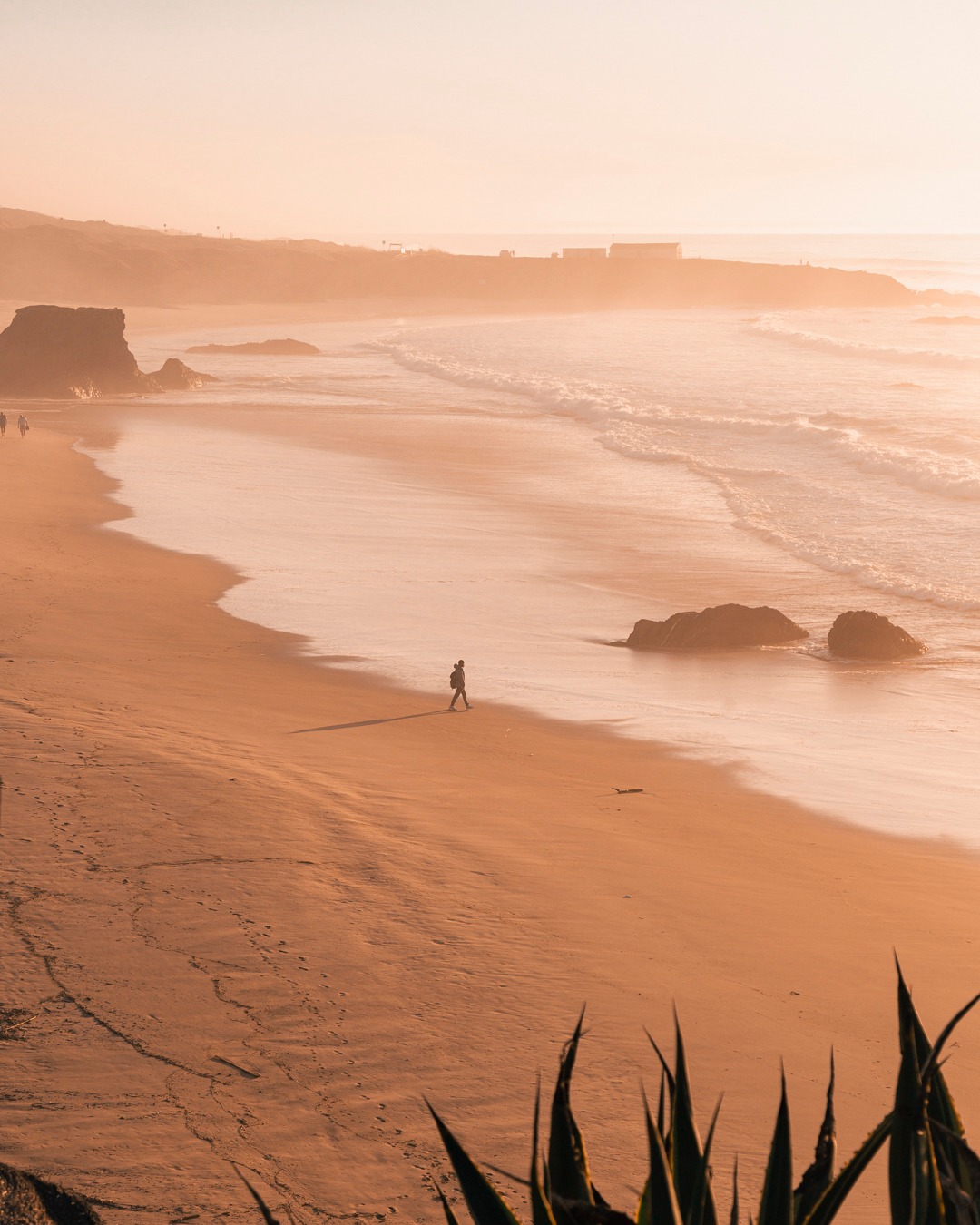 432228236_944561227674647_1051712795559478368_n